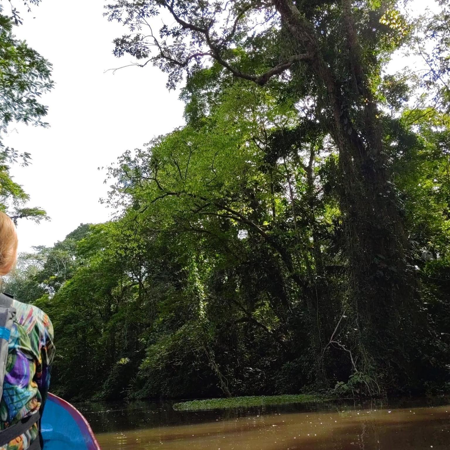 Tortuguero Villas Esterno foto