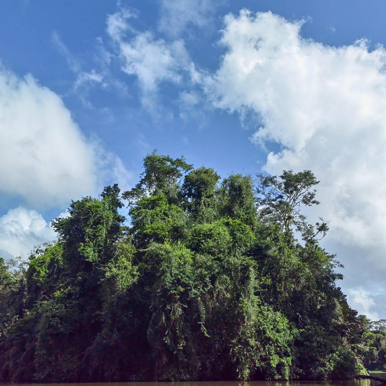 Tortuguero Villas Esterno foto