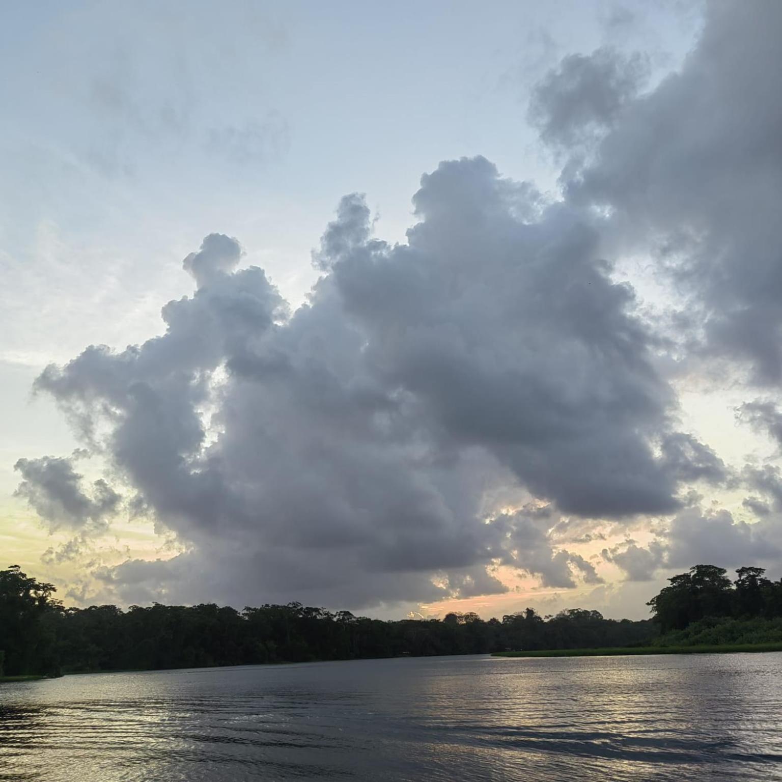 Tortuguero Villas Esterno foto