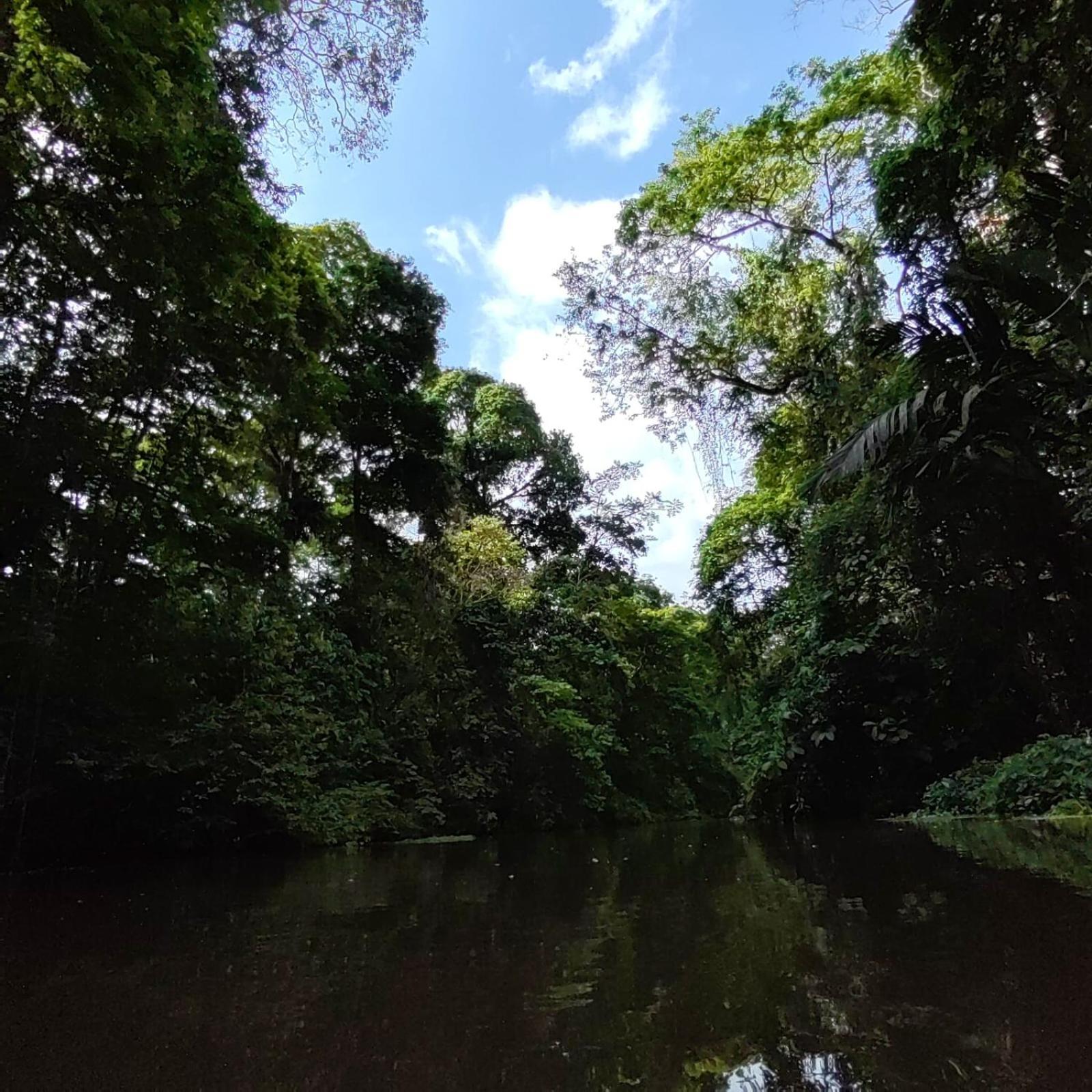 Tortuguero Villas Esterno foto
